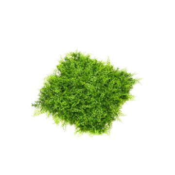 Artificial maidenhair fern mat / hedge PIETER, crossdoor, green, 20"x20"/50x50cm