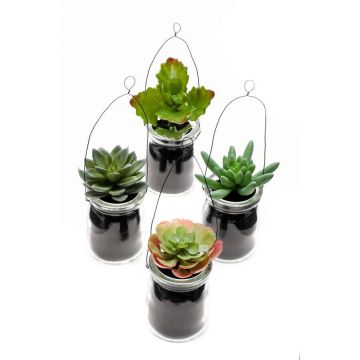 Artificial hanging basket with succulents LASEO in glass, 4 pieces, multicoloured, 4"/10cm