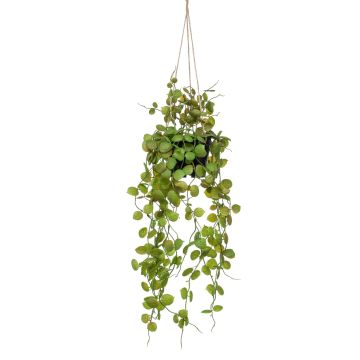 Artificial hanging basket with ceropegia BOLTEN, green, 20"/50cm