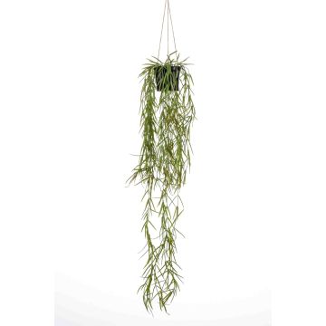 Artificial hanging basket with rhipsalis BOLTEN, green, 31"/80cm
