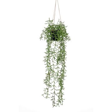Artificial hanging basket with senecio BOLTEN, green, 28"/70cm