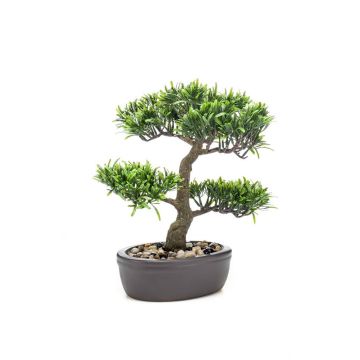 Plastic bonsai podocarpus GOYA in planter, 12"/30cm