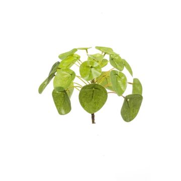 Artificial Chinese money plant SYBIL on spike, green, 5.1"/13cm