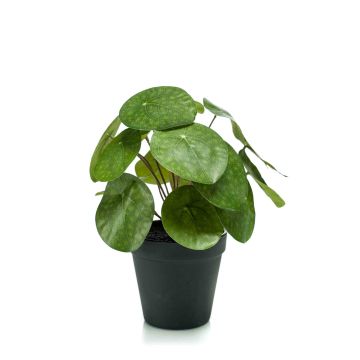 Artificial Chinese money plant SYBIL, green, 8"/20cm