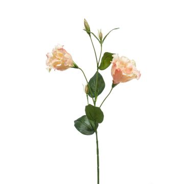 Artificial flower Lisianthus JENO, cream-light pink, 24"/60cm