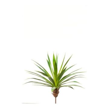 Plastic agave EUSTACHIO on spike, green, 22"/55cm