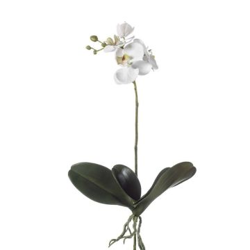 Artificial Phalaenopsis orchid FAO on spike, white, 18"/45cm