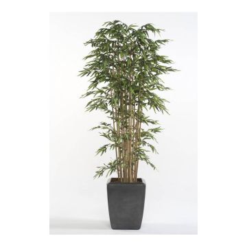 Artificial bamboo HIKITO, real stems, 8ft/235cm