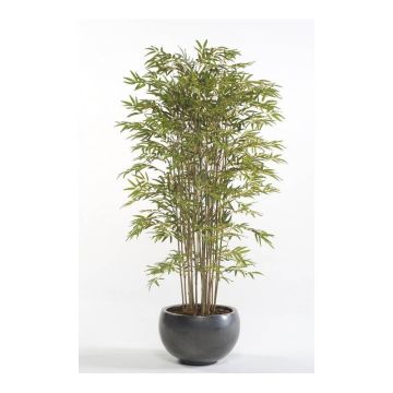 Plastic bamboo SATOKO, real stems, 6ft/180cm