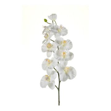 Plastic Phalaenopsis orchid spray ANAT, cream, 3ft/100cm