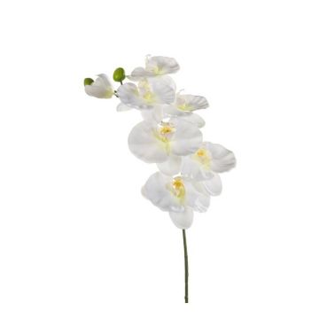 Plastic Phalaenopsis Orchid spray BASTET, white, 31"/80cm