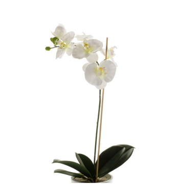Artificial Phalaenopsis orchid ISIS, spike, white, 24"/60cm