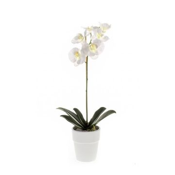 Artificial Phalaenopsis orchid ISIS, ceramic pot, white, 22"/55cm