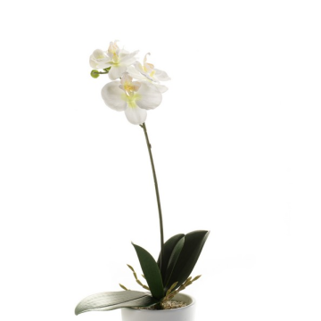 Artificial Phalaenopsis orchid ISIS, spike, white, 16"/40cm
