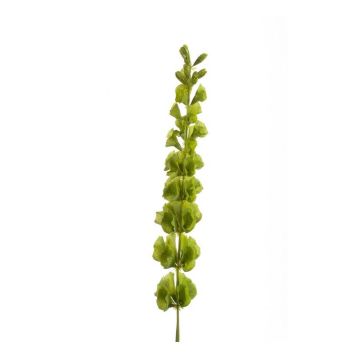 Artificial shellflower SIERA, green, 31"/80cm