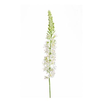 Artificial flower eremurus AOMORI, cream, 3ft/105cm