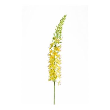 Artificial flower eremurus AOMORI, yellow, 3ft/105cm