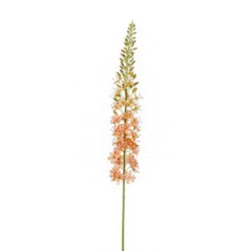 Artificial flower eremurus AOMORI, cream-light pink, 3ft/105cm