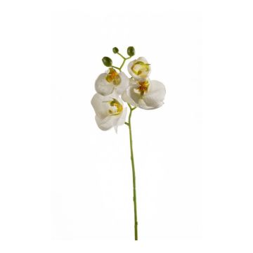 Artificial Phalaenopsis orchid spray MINA, white, 22"/55cm