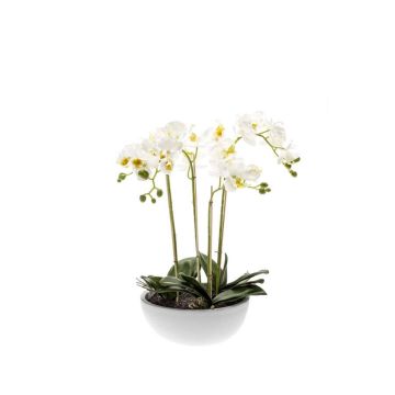 Artificial Phalaenopsis orchid MINA in ceramic pot, white, 24"/60cm