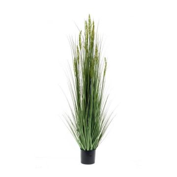 Artificial silver spike grass ETEO with panicles, green, 5ft/150cm