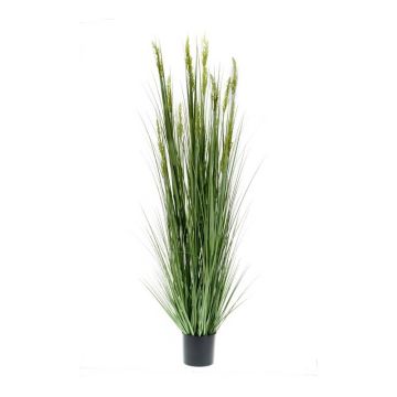 Artificial silver spike grass ETEO with panicles, green, 6ft/185cm