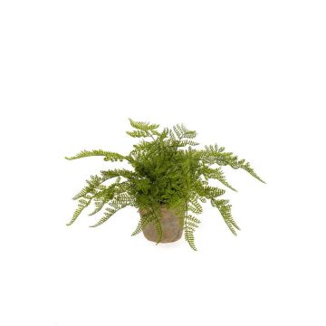Artificial lady fern MELLEA in terracotta pot, green, 10"/25cm