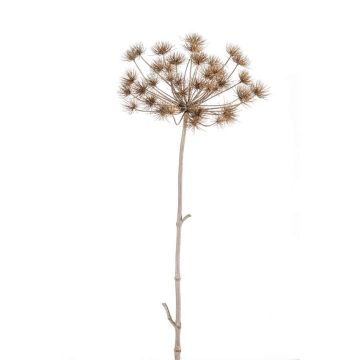 Plastic hogweed EVANDRO, grey, 4ft/125cm