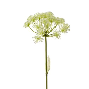 Artificial hogweed EVERALDO, white, 31"/80cm
