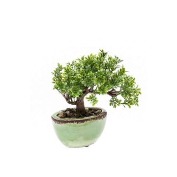 Artificial Bonsai Ficus ORIANA in ceramic pot, 8"/20cm