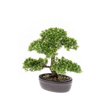 Artificial Bonsai Ficus HESPER in planter, 12"/30cm