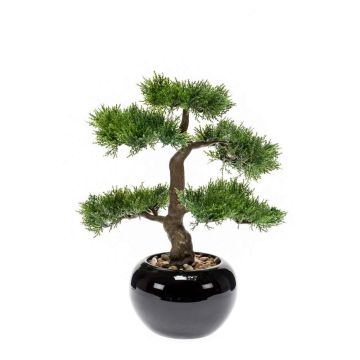 Artificial Bonsai Cedar ADARA in ceramic pot, 14"/35cm