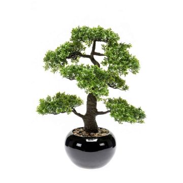 Artificial Bonsai Ficus ASHER in ceramic pot, 18"/45cm