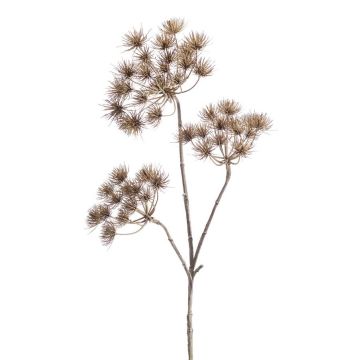 Artificial hogweed BELMIRO, brown, 3ft/100cm