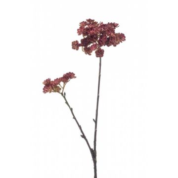 Artificial echeveria spray KALUPA, burgundy red, 20"/50cm