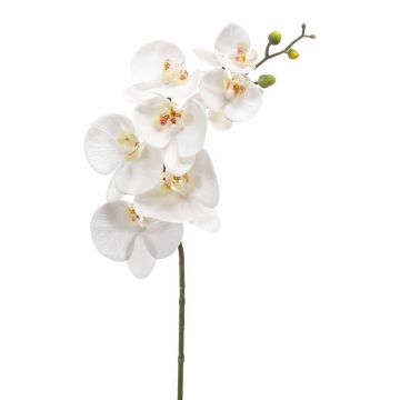 Artificial Phalaenopsis orchid spray NEITH, white, 33"/85cm
