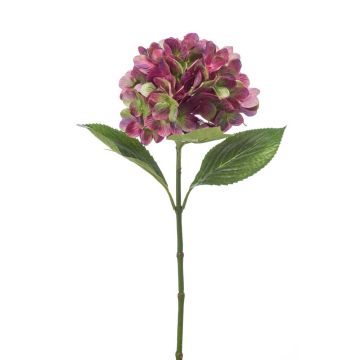Silk hydrangea ENEA, violet-green, 26"/65cm