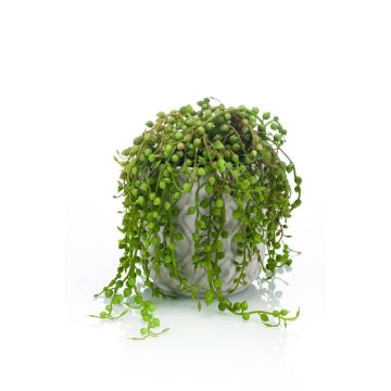 Artificial plant Senecio PIURA in cement pot, green, 6"/15cm