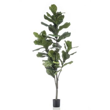 Artificial Ficus Lyrata ENRIKO, artificial stem, green, 5ft/150cm