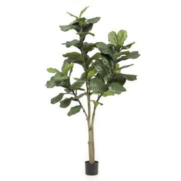 Artificial Ficus Lyrata ENRIKO, artificial stem, green, 6ft/180cm
