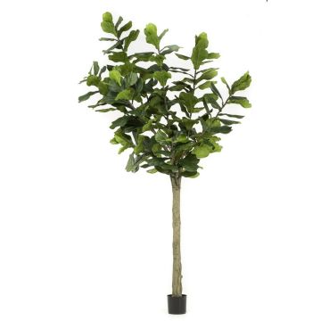 Artificial Ficus Lyrata ENRIKO, artificial stem, green, 10ft/300cm