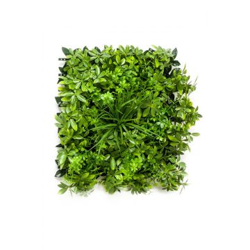 Artificial schefflera and grass mat ENZIO, crossdoor, green, 20"x20"/50x50cm
