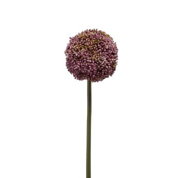 Plastic Allium BOUTROS, violet, 30"/75cm