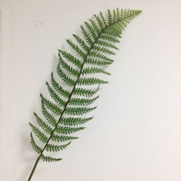 Artificial Boston fern leaf CODY, green, 3ft/100cm