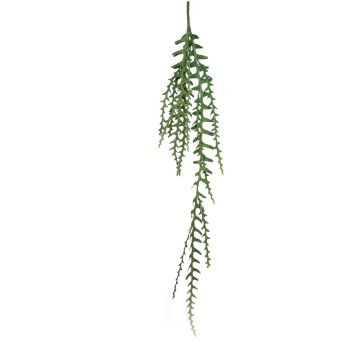 Plastic rhipsalis hanging plant TULLIO on spike, green, 4ft/125cm