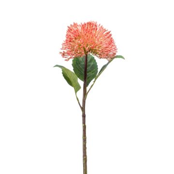 Plastic sedum flower JICAMA, light pink, 18"/45cm