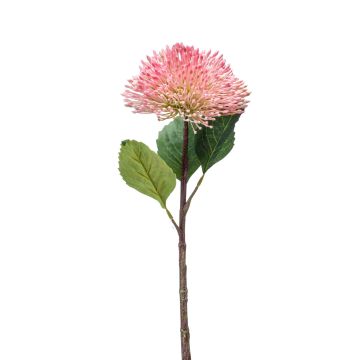 Plastic sedum flower JICAMA, light pink-white, 18"/45cm