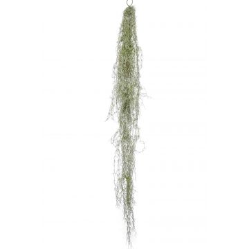 Artificial tillandsia usneoides HIDAL, spike, green-grey, 5ft/150cm