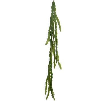 Artificial orchid cactus hanging plant BORNEO on spike, green, 4ft/110cm