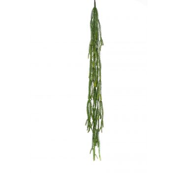 Artificial orchid cactus hanging plant BORNEO on spike, green, 4ft/120cm